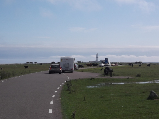 Schweden 2011