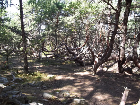 Schweden 2011