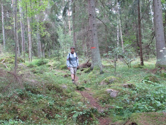 Schweden 2012