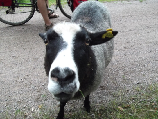 Schweden 2012